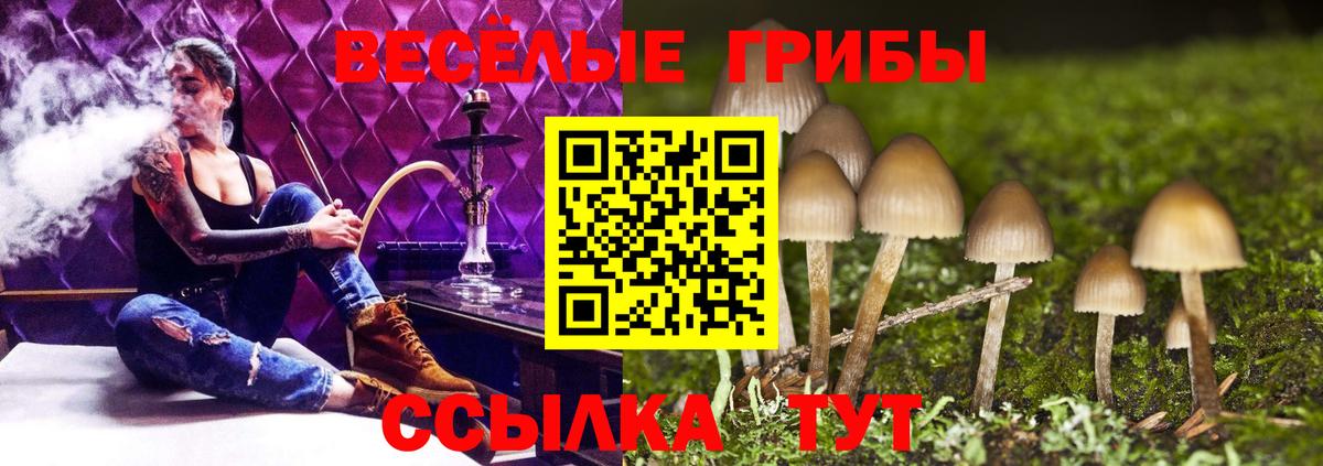 Псилоцибиновые грибы мухоморы Ростов Великий