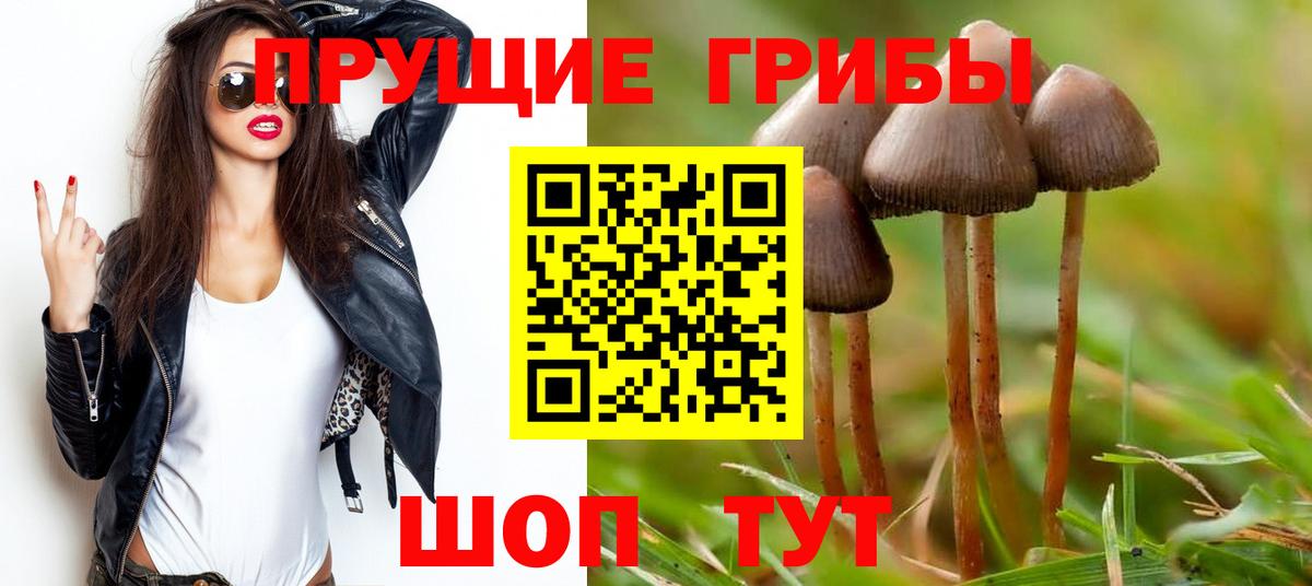 Псилоцибиновые грибы прущие грибы  Вход с VPN  Ростов Великий  Псилоцибиновые грибы мицелий 